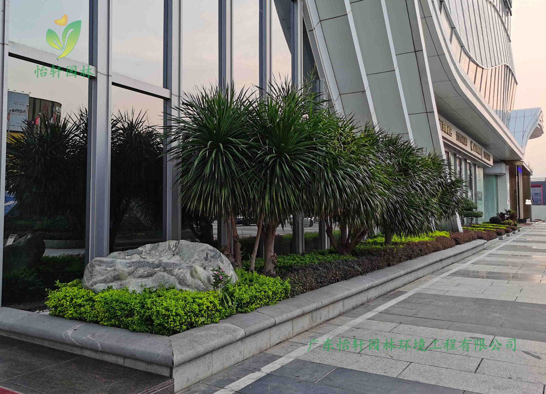東莞名家居世博園企業綠化工程改造案例展示圖