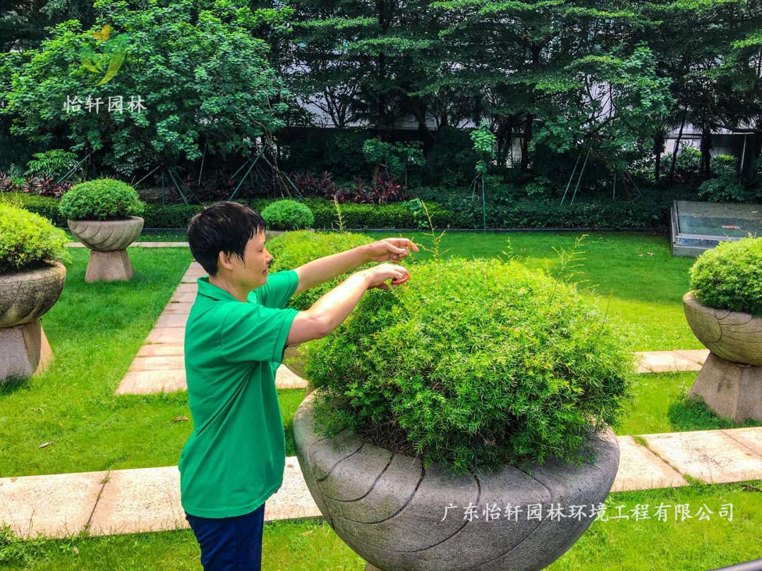 廣州荔灣區逸翠灣小區綠化養護