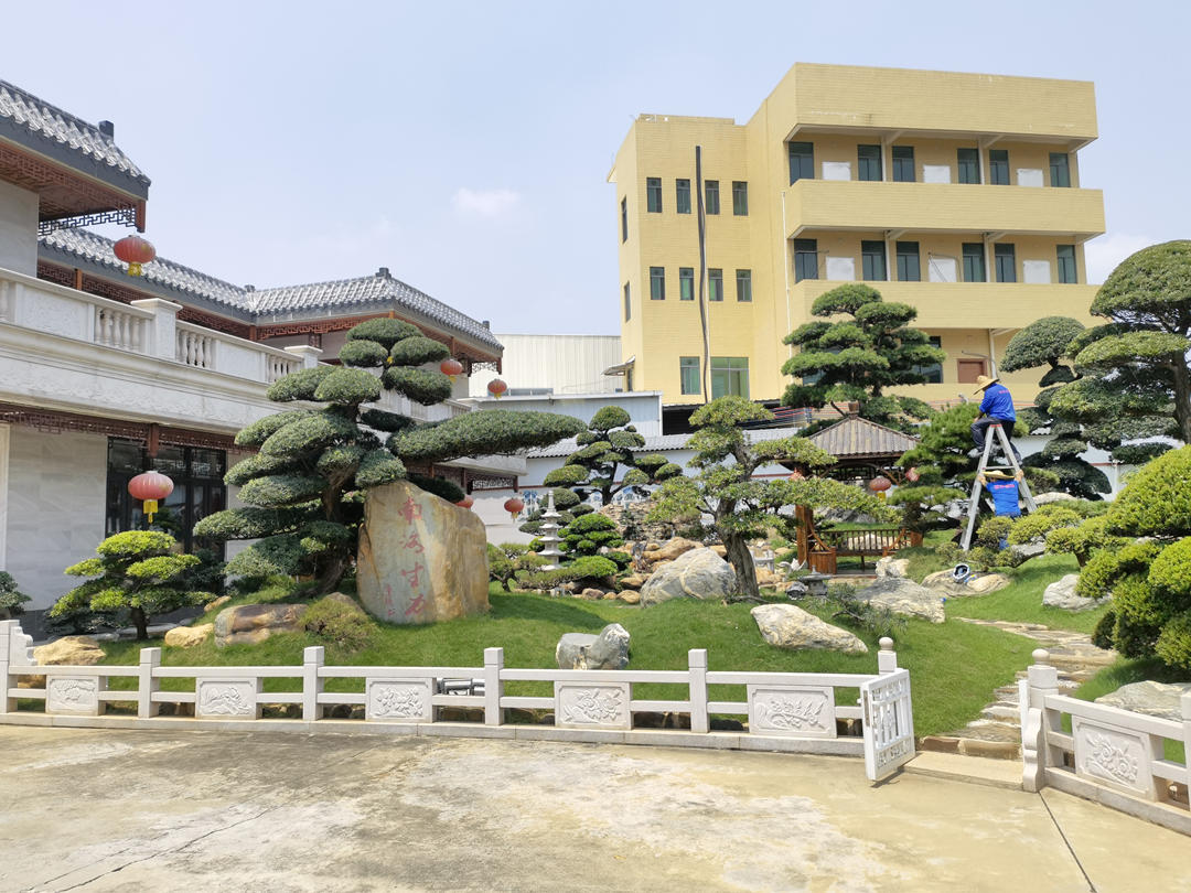 怡軒園林綠化養護工作