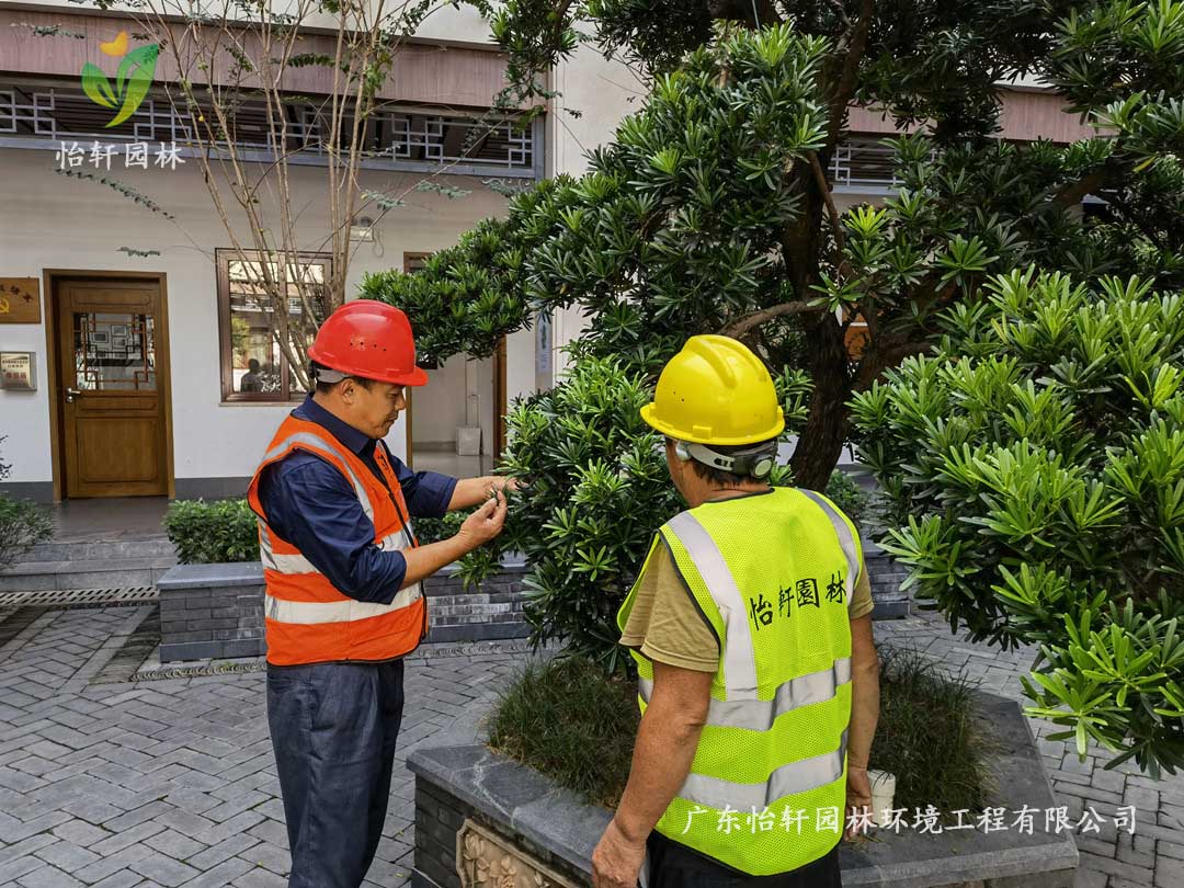 怡軒園林綠化公司廠區綠化養護指導工作