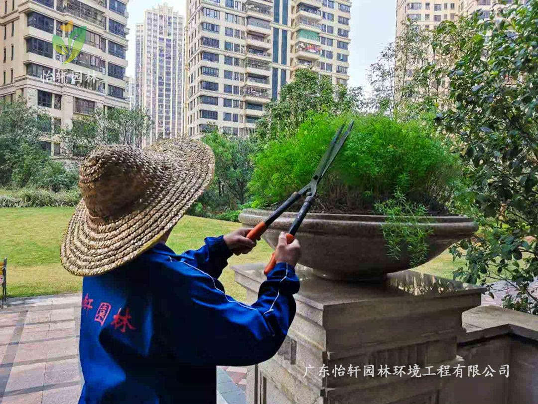 園林綠化養護修剪原則