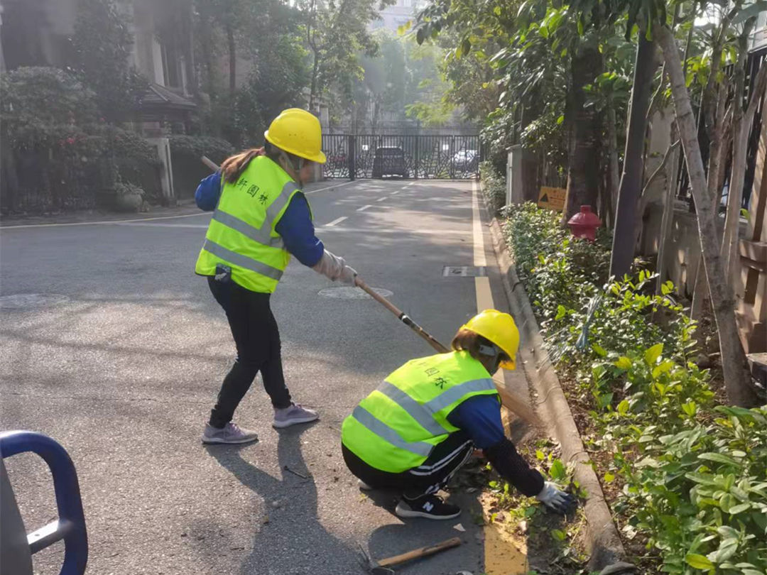小區綠化養護清理綠化垃圾