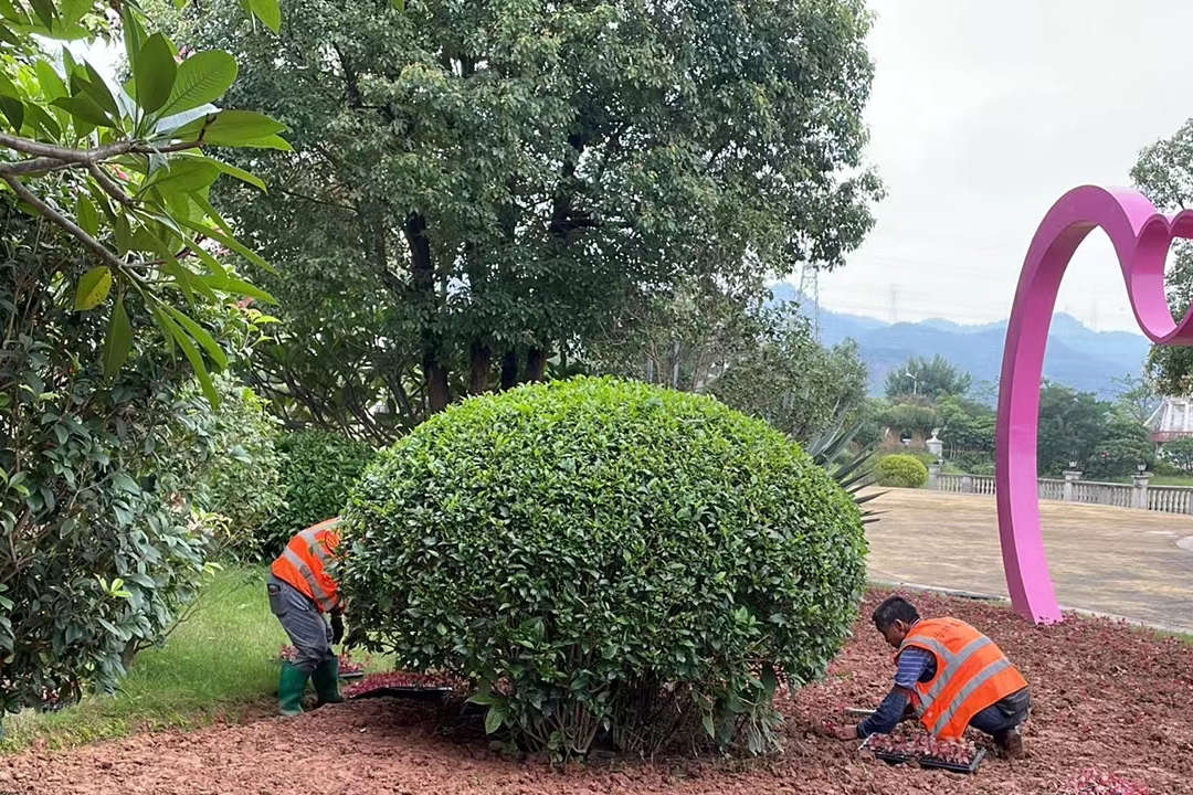 綠化養護補植