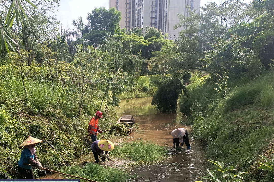 春季綠化養護清理雜草