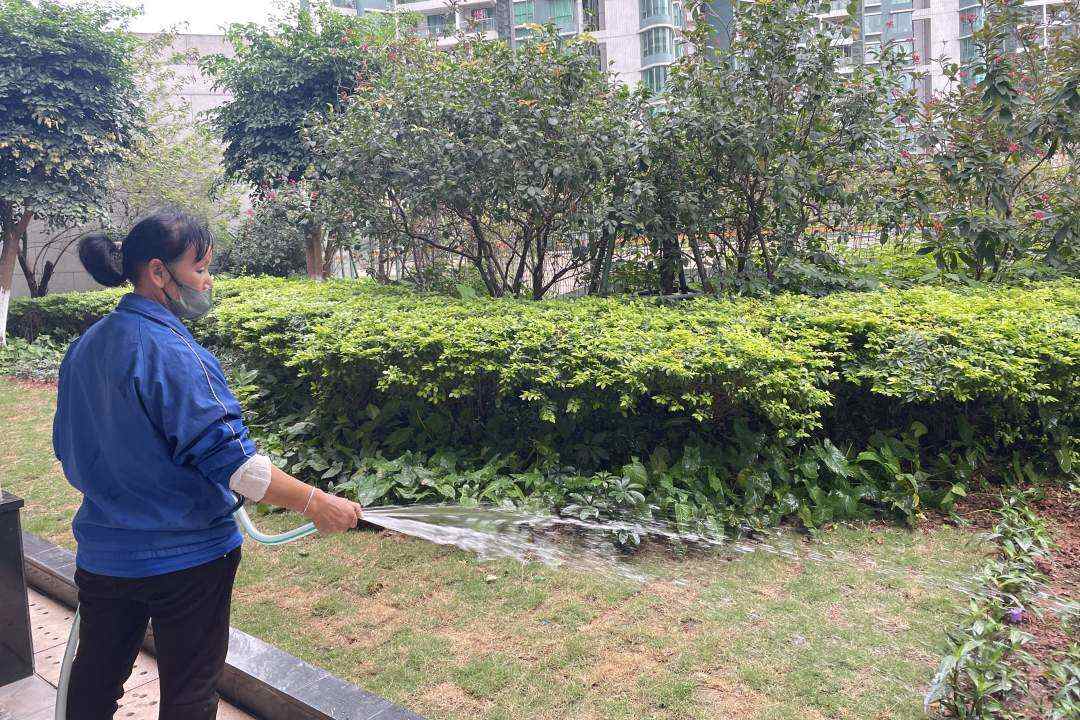 小區綠化養護澆水