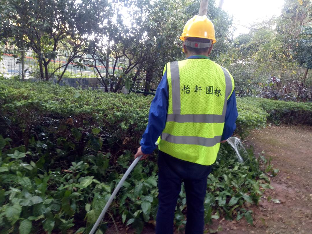 小區(qū)綠化養(yǎng)護澆水