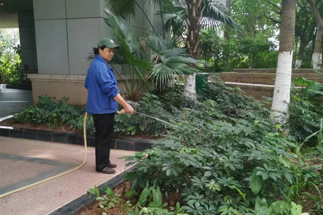 逸翠灣小區夏季綠化養護澆水