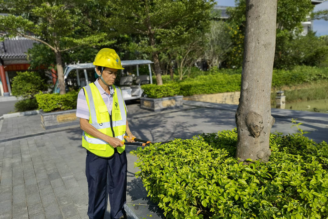 秋季園林綠化養護修剪